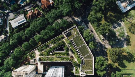 Building the Future: Greening the city