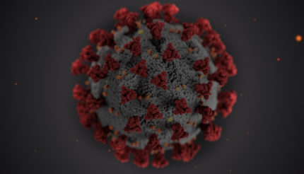 Will Your Business Survive Coronavirus